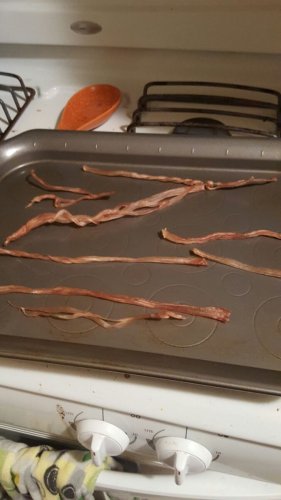 emu tendon chews.jpg