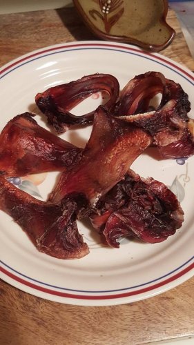 Finished Gullets.jpg