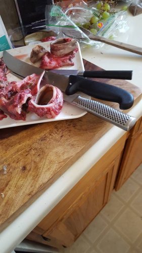 Gullets before oven.jpg