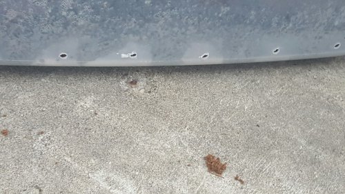 Holes on outside cage.jpg