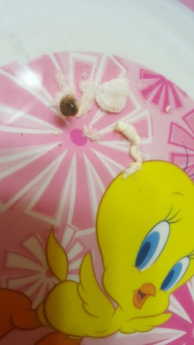 20170324_130254.jpg