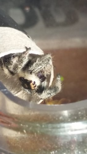 20170325_162847.jpg