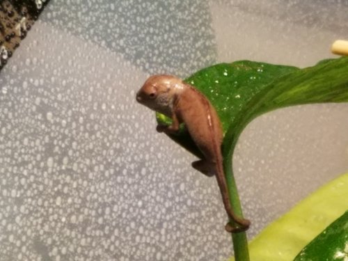 20170326_165130.jpg
