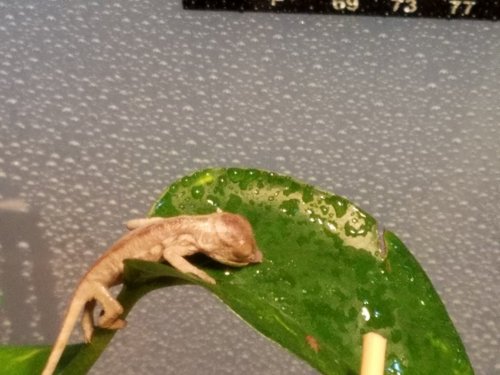 20170326_164751.jpg