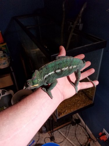 20170326_175812.jpg