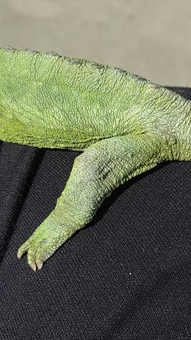 Hope outside back.jpg