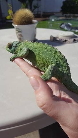 Hope outside darker.jpg