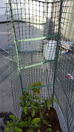 branch holders for outdoor cage.jpg