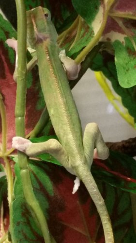 20170329_115649.jpg