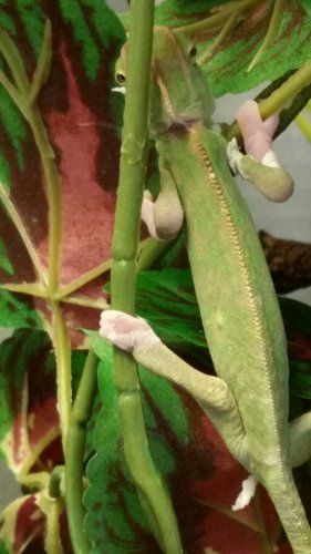 20170329_115646.jpg