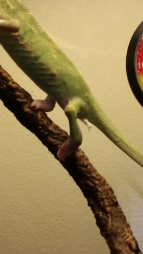 20170329_131159.jpg