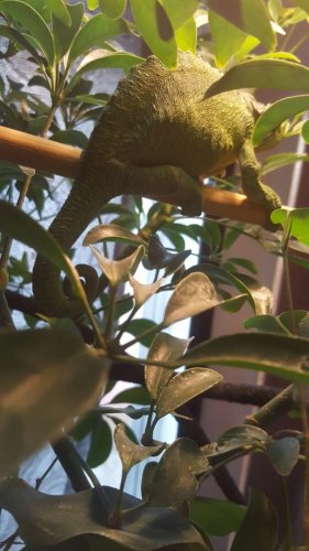 Slugs for Hope 1.jpg