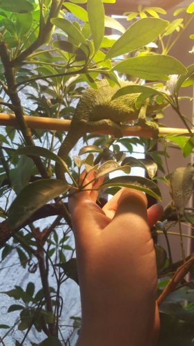 Slugs for Hope 2.jpg