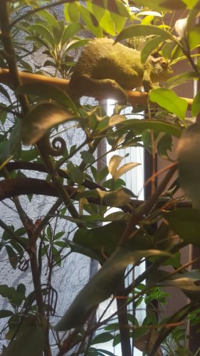 Slugs for Hope 3.jpg