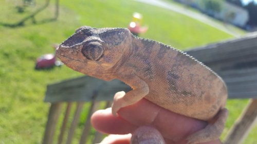 20170408_165558.jpg