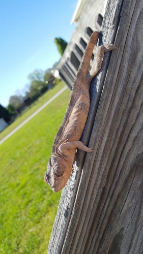 20170408_165026.jpg
