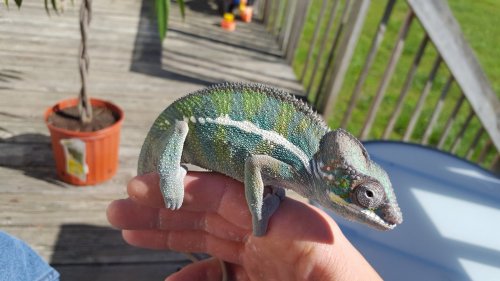 20170408_162640.jpg
