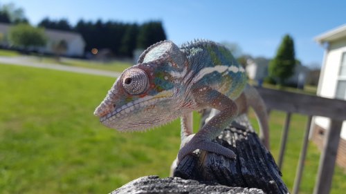 20170408_162956.jpg