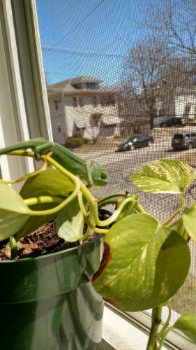 IMG_20170409_132922739_HDR.jpg