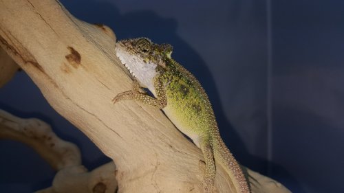 20170411_181057.jpg