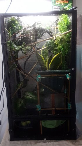 20170412_172345.jpg