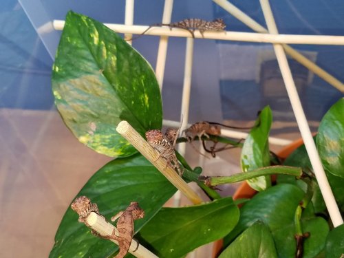 20170423_152648.jpg