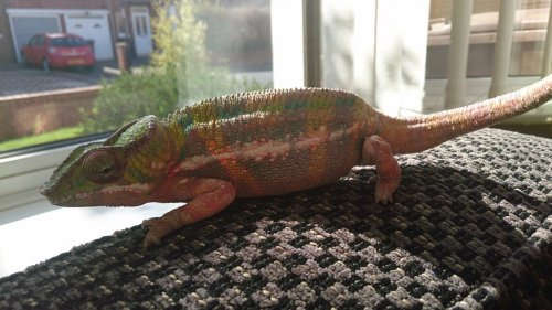 DSC_6622.JPG