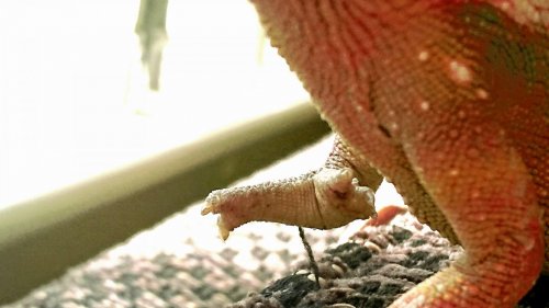 _20170426_160231.JPG