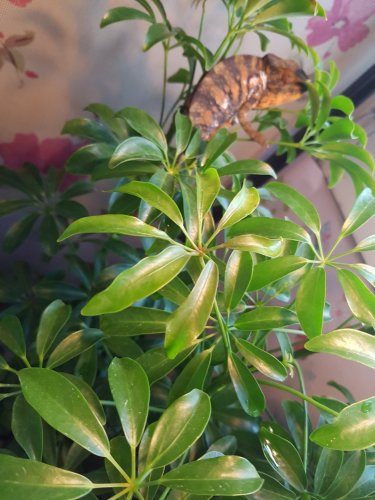 20170427_105459.jpg