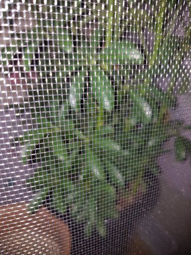 KakaoTalk_20170429_024957143.jpg