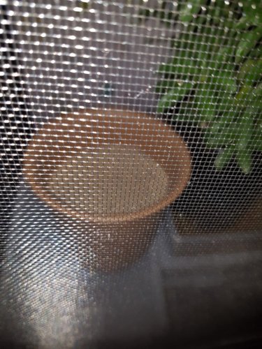 KakaoTalk_20170429_024957547.jpg