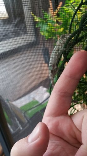 20170429_173642.jpg