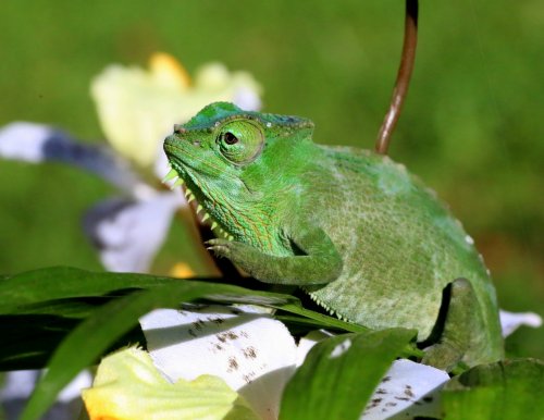 0U2C3102 Ref pic.JPG