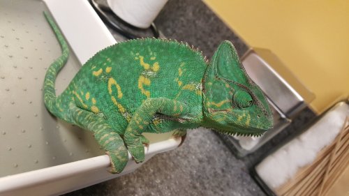 20170504_080912[1].jpg