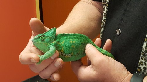 20170504_081927[1].jpg