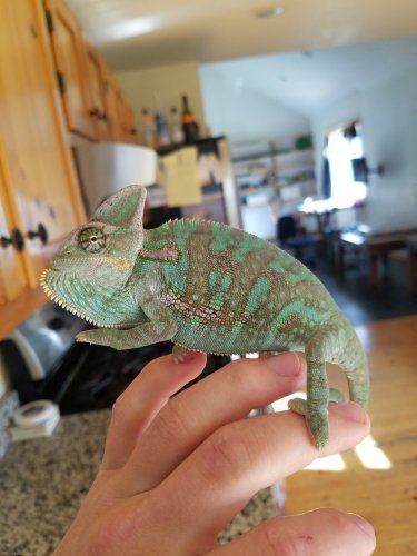 20170505_100311.jpg