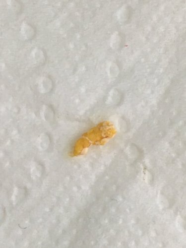 Photo May 05, 3 52 10 PM.jpg