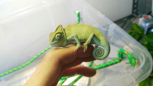 WhatsApp Image 2017-05-19 at 14.29.52 (2).jpeg