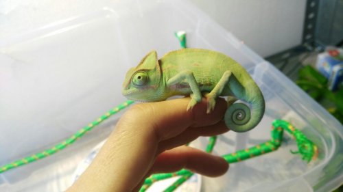 WhatsApp Image 2017-05-19 at 14.29.52 (3).jpeg