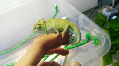 WhatsApp Image 2017-05-19 at 14.29.52 (4).jpeg