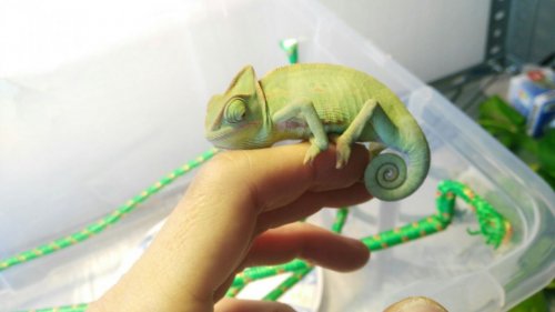 WhatsApp Image 2017-05-19 at 14.29.52 (5).jpeg