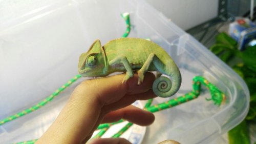 WhatsApp Image 2017-05-19 at 14.29.52 (6).jpeg