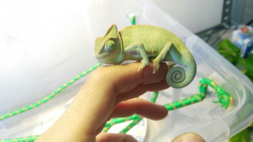 WhatsApp Image 2017-05-19 at 14.29.52 (7).jpeg