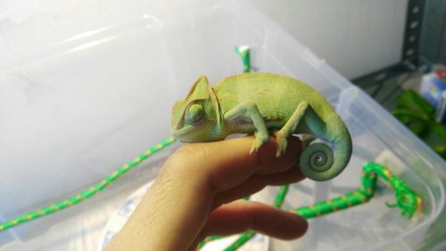 WhatsApp Image 2017-05-19 at 14.29.52 (8).jpeg