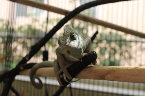 2017-04-09 15.30.22.jpg