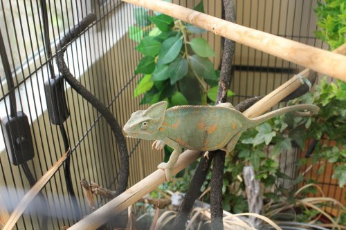 2017-04-09 15.38.52.jpg