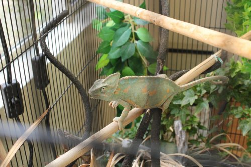 2017-04-09 15.38.54.jpg