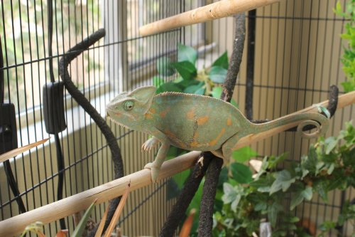 2017-04-09 15.39.10.jpg