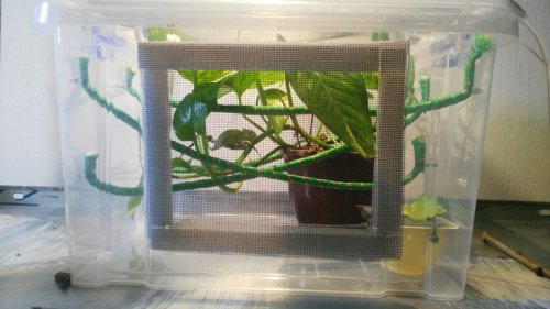 WhatsApp Image 2017-04-25 at 19.24.03.jpeg