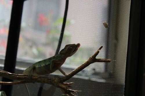 2017-05-26 15.17.37-1.jpg